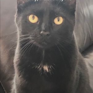 Meet your Posher, Tracy